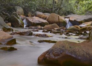 Contractors meet for stream-clearing project; work should be done by Thanksgiving